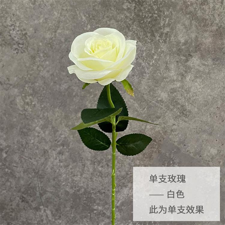 单支玫瑰-白色.jpg