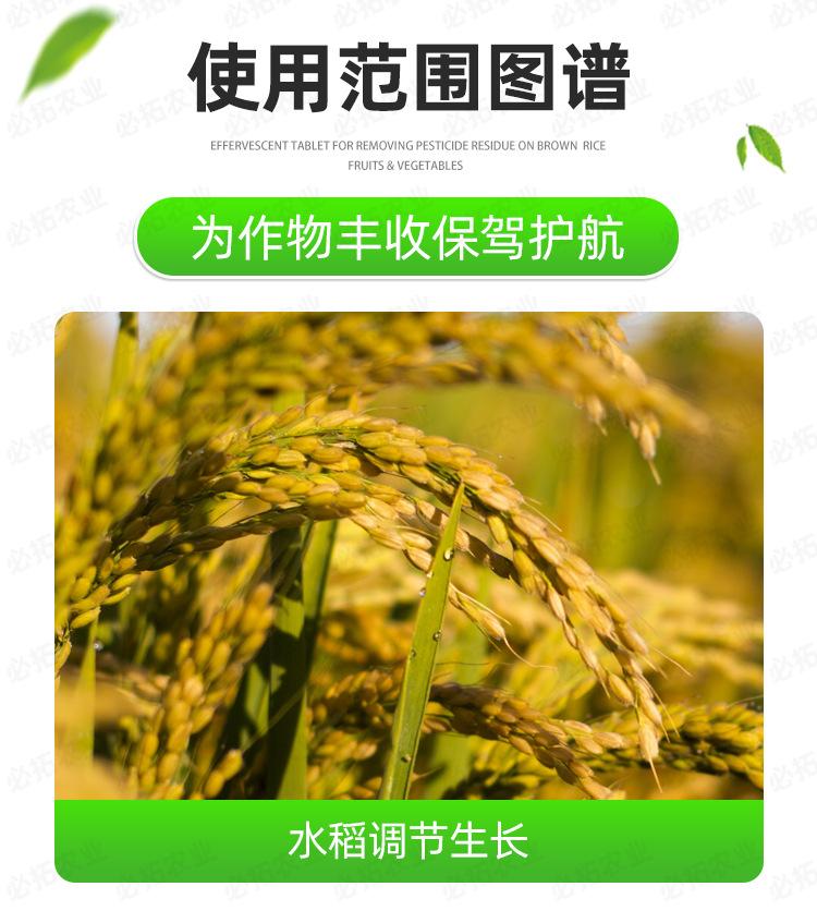 必拓14羟基_03.jpg