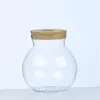 Garrafa Ecológica de Micro-Paisagem, Vaso Hidropônico para Plantas Suculentas, Decoração de Garrafa para Plantas Verdes de Interior, Vaso de Flor Decorativo de Vidro Aspargo