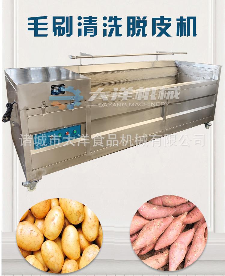 毛刷脱皮机详情1.jpg
