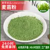 Fornecimento de Pó de Grama de Cevada 200 mesh - 1000 mesh Pó para Suco Verde Pó de Broto de Cevada Corante para Panificação Ingrediente para Bolinho Verde Pó de Grama de Cevada