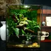 Tanque de Micro Paisagem com Musgo para Caranguejos Pimenta, Tartaruga, Chifre F