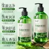 Baizhentang Folha de Tuia Aloe Vera Shampoo Refrescante e Fofo Atacado Refrescante, Cabelo Fofo e Sedoso Cuidado Capilar Sedoso