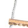 Punto cinta de perlas y diamantes de un solo lado accesorios encaje ropa accesorios Xiaoxiang bolsa de material zapatos pasador de pelo