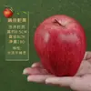 Modelo de Fruta Serpiente Simulación Pesos Manzana Falsa Manzana Verde Boceto de Fruta Accesorios de Fotografía Adornos para Escaparates Decoraciones
