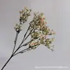 Ventas Directas Transfronterizas Cielo Estrellado Decoración Artificial de Boda Estilo Ins Muebles para el Hogar Accesorios para Fotografía Decoración Suave Flores Artificiales