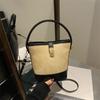 Bolso Nuevo 2024 Popular Bolso Balde Otoño e Invierno Diseño Nicho Bolso de Mujer Bolso Bandolera Pequeño de Alta Gama para el Trabajo