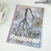 Coleção de cadernos B5 grampeados, páginas pautadas com desenhos fofos grampeados, diário de estudante, caderno planejador