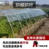 Soportes de Varilla de Fibra de Vidrio para Invernadero para Plántulas de Verduras y Flores, Aislamiento, Sombreado y Mallas a Prueba de Insectos, Varillas Sólidas de Fibra de Vidrio