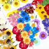 Bolsa de Rafia para Plantas Bolsa de Material para Estampado de Flores Secas Espécimen de Hoja de Flor Real Pintura DIY Marcapáginas Goteo de Pegamento Posavasos de Flores Secas