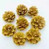 Paquete de materiales DIY hecho a mano flores mixtas plantas flores secas estilo bosque de jardín de infantes creación de anillos decoración piñas de Navidad