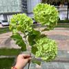 Flores de simulação para casa de alta qualidade fabricantes de comércio exterior 3 toque de cola macia madeira hortênsia verde decoração de casamento flores artificiais atacado