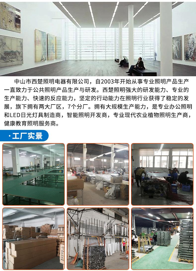 灯登灯灯_22