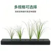 Dropshipping Transfronterizo de Hierba Cebolla Encriptada, Césped Artificial, Hierba Pequeña de Tallo Único, Paisajismo con Plantas Verdes, Césped Artificial, Hierba de Junco, Plantas Artificiales