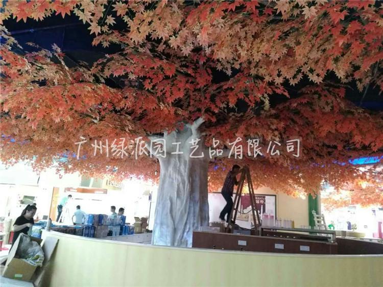 枫树红枫树绿枫09.jpg