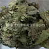 Material Medicinal Chino Hojas de Eucommia Ulmoides en Stock, Limpias y Libres de Impurezas, Gran Suministro de Eucommia Ulmoides, Varios Materiales Medicinales de Espalda Fría, Gran Cantidad y Excelente Precio