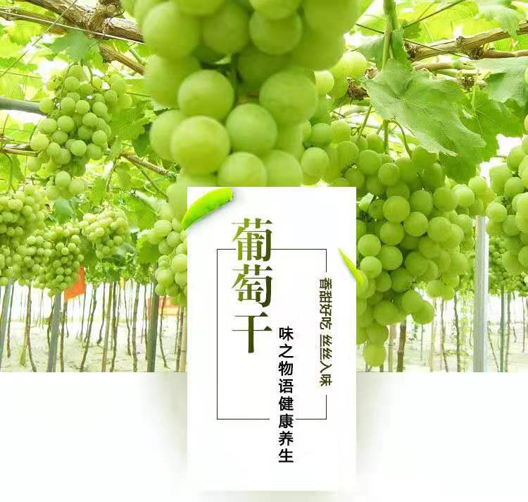 微信图片_20191022201040