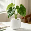 Fornecimento exclusivo transfronteiriço de vasos de flores de mesa de tamanho pequeno, vasos de flores de plástico imitando cerâmica espessa, recarregáveis, adequados para flores artificiais e plantas decorativas