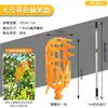 El artefacto para recoger fruta se puede conectar al poste largo telescópico para recoger níspero, caqui, mirto, manzana, longan, azufaifa, albaricoque, nuez, fruta