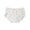 Roupa Íntima de Gelo Estampada Fofa Frutinha Estilo Feminino Roupa Íntima Invisível Verão Tamanho Grande Roupa Íntima Feminina