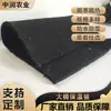 Manta de Isolamento para Estufa Zhongrun, Manta de Isolamento à Prova de Frio, Quente, à Prova de Chuva e à Prova de Sol, Manta de Isolamento de Algodão Livre de Cola e Algodão Pérola