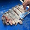 . Máquina cortadora de carne de conejo máquina cortadora de carpa herbívora peces vivos máquina cortadora de piel de pescado máquina cortadora de calamar máquina cortadora de sepia bidireccional