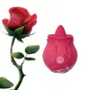 Masajeador Vibrador en Forma de Rosa Transfronterizo para Mujeres, Vibrador Multifrecuencia, Productos Sexuales para Adultos, Venta al por Mayor de Fábrica Av