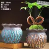 Vasos de Cerâmica Bruta Sem Esmalte para Flores Frescas com Características Zen Criativas, Novo Conjunto Respirável para Plantas Suculentas, Frete Grátis