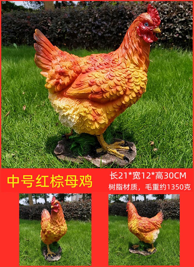 中母鸡规格.jpg