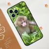 Capa de celular adequada para iPhone 15, limpa, fofa, macaquinho, natureza