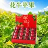 Gansu Tianshui Manzana Huaniu Manzana Roja Huaniu Festival Regalo Compra Grupal Caja de Regalo para Artículos de Año Nuevo Para Regalar a Clientes de Negocios
