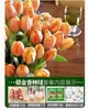 Venta al por mayor de 5 bulbos de tulipán en stock, florecen en todas las estaciones, fáciles de cuidar, adecuados para cultivo hidropónico, de pétalos dobles, para cultivo en tierra o maceta en el balcón
