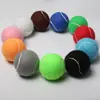 20 Pelotas de Tenis de Entrenamiento para Niños y Perros, Pelotas de Tenis Resistentes a Mordeduras para Principiantes, Pelotas de Masaje Fitness de Alta Elasticidad
