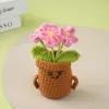 Nuevo Macetero de Planta de Hilo de Nomeolvides Creativo de Punto de Amazon, Lindo y Alentador Macetero de Planta de Ganchillo de Nomeolvides