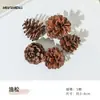 Materiais para Artesanato DIY de Flores Eternas no Atacado, Flores Secas, Frutas Secas, Rodelas de Laranja, Pinhas, Adereços para Fotografia de Flores, Materiais para Artesanato DIY de Jardim de Infância