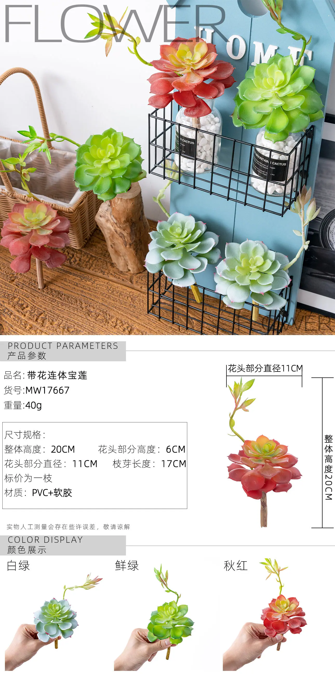 MW17667国内站电脑端_01