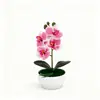 Maceta Ovalada con Patrón Vertical Flor Artificial Phalaenopsis en Maceta Oficina Hogar Película Artificial Planta Verde Decoración Adornos para Fotografía