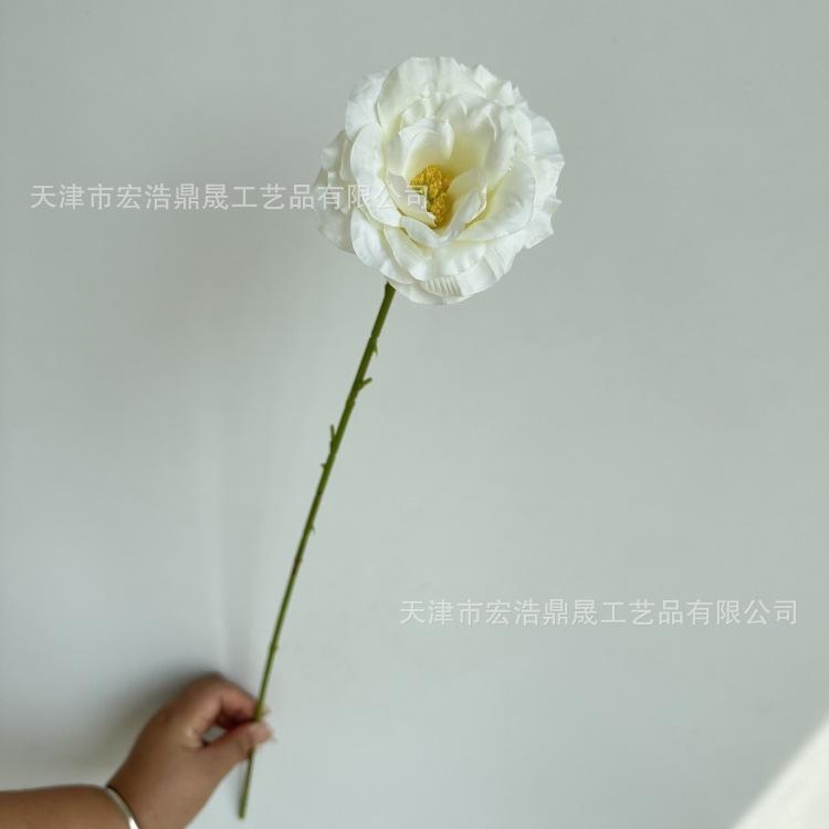 微信图片_20230901152812_副本