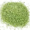 Fornecedores de fabricantes cascalho de cristal de olivina natural pedra de desmagnetização para peixes cilindro de aromaterapia adoração a Buda pedra decorativa de cristal atacado