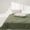 Otoño e Invierno Color Puro Terciopelo de Leche Cama Sábanas de Cama Pieza Única Forro Polar Cálido Terciopelo Coral Colcha Simple Doble Juego de Tres Piezas Dormitorio