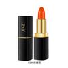 Nuevo Labial Mágico ZIB Flame Charm Mate Terciopelo Ligero Color Vestido No Fácil de Quitar Maquillaje No Fácil de Dejar Marca en Taza Labial