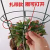 Cacto de Natal Cacto Orquídea Enxertado Hoya Suporte de Orquídea Suporte de Plantas Trepadeiras Jardinagem Suporte de Fixação Suporte de Suporte Altura 80cm Montagem