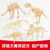 Modelo de Esqueleto de Dinosaurio Juguete de Excavación Arqueológica, Ensamblaje de Fósil de Dinosaurio Simulado, Herramientas de Excavación para Búsqueda del Tesoro Transfronteriza al por Mayor