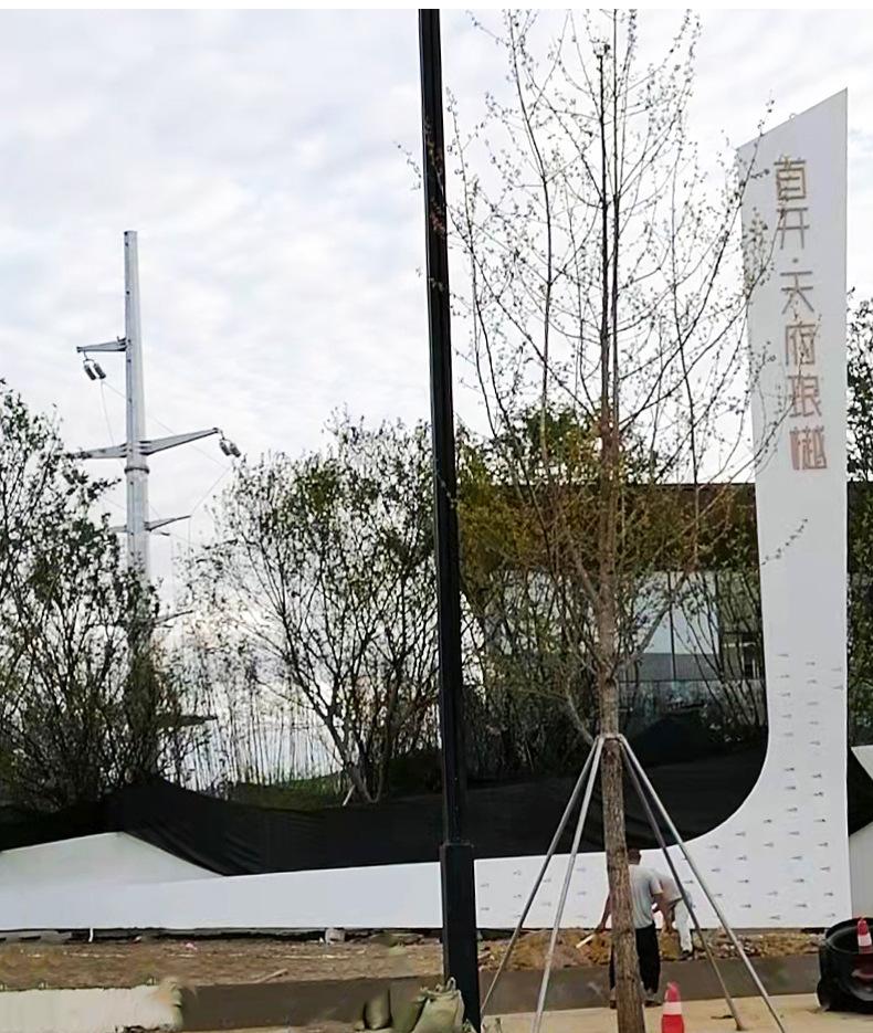 阿里巴巴详情新模板_16.jpg