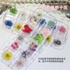 Estilo Ins japonés flor seca para uñas joyería pétalos pequeños Cielo Estrellado 12 rejillas colorida encaje flor decoración de uñas flor