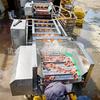 Equipo de Limpieza y Desconchado de Carne de Almeja Roja, Línea de Limpieza y Eliminación de Arena de Vieiras, Máquina de Limpieza y Desconchado de Carne de Mariscos