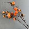 Flor artificial de outono caqui fruta rica flor falsa ornamentos decorativos arranjo de flores para sala de estar galhos de flores secas Zen 8 caquis