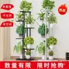 Suporte de flores interno do fabricante para uso doméstico na sala de estar, prateleira dobrável de vários níveis para economia de espaço para plantas verdes
