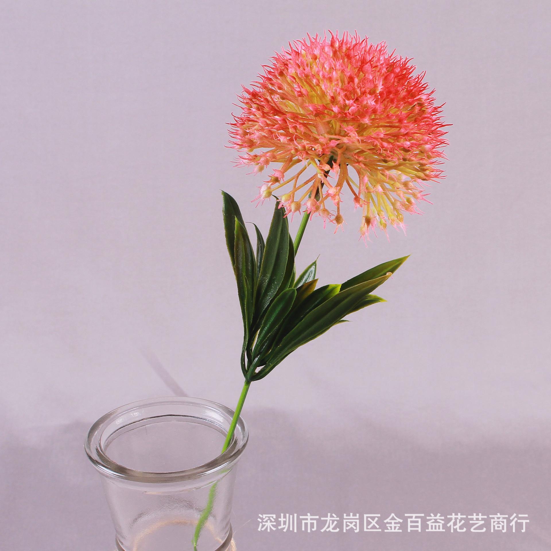 IMG_8520_副本.jpg