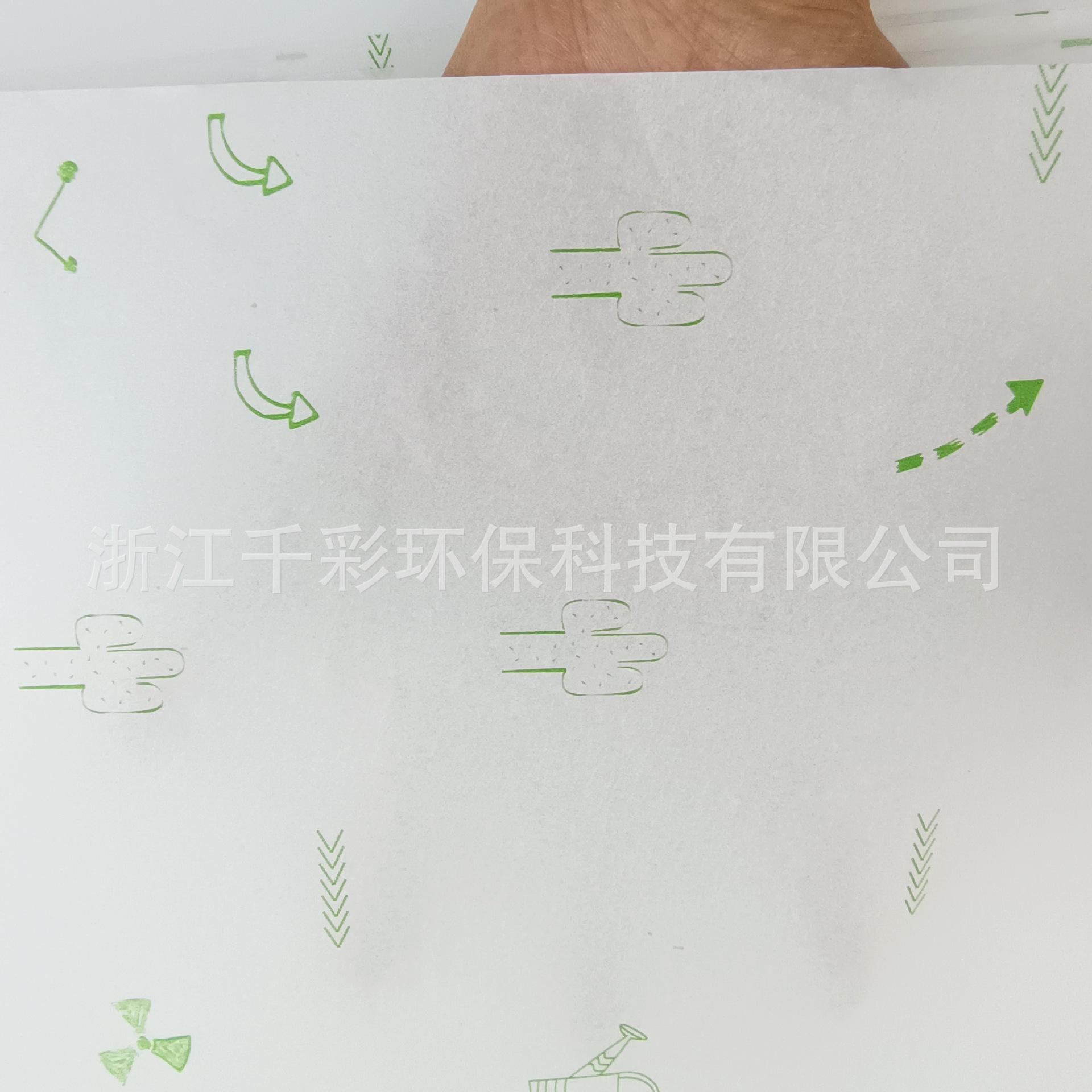 绿色仙人掌2.jpg